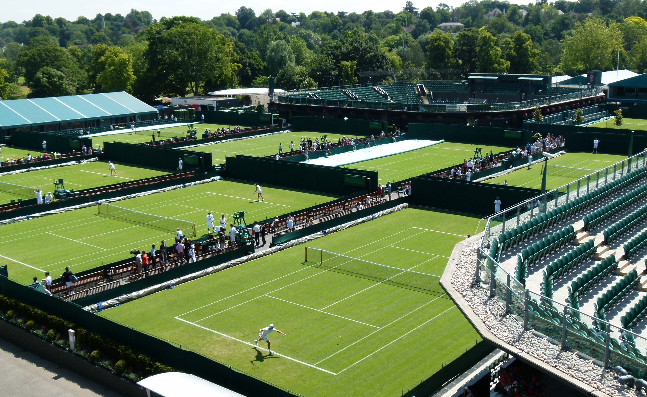 MatchPoint - Advanced Turf Solutions