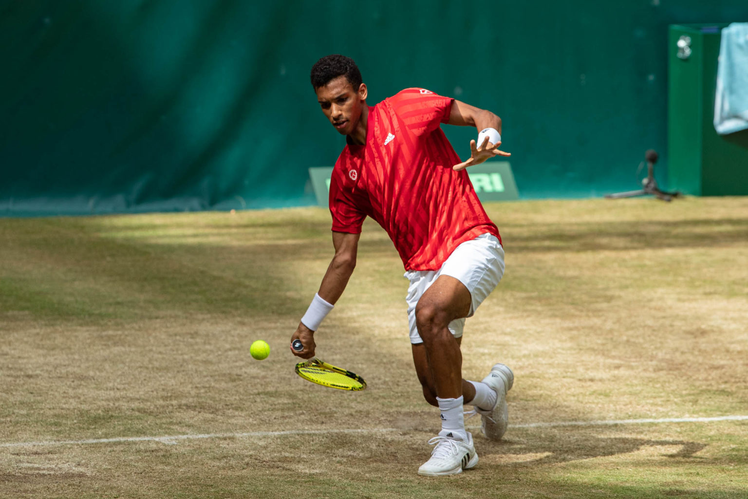 Auger-Aliassime drops semi-final thriller in Halle ...