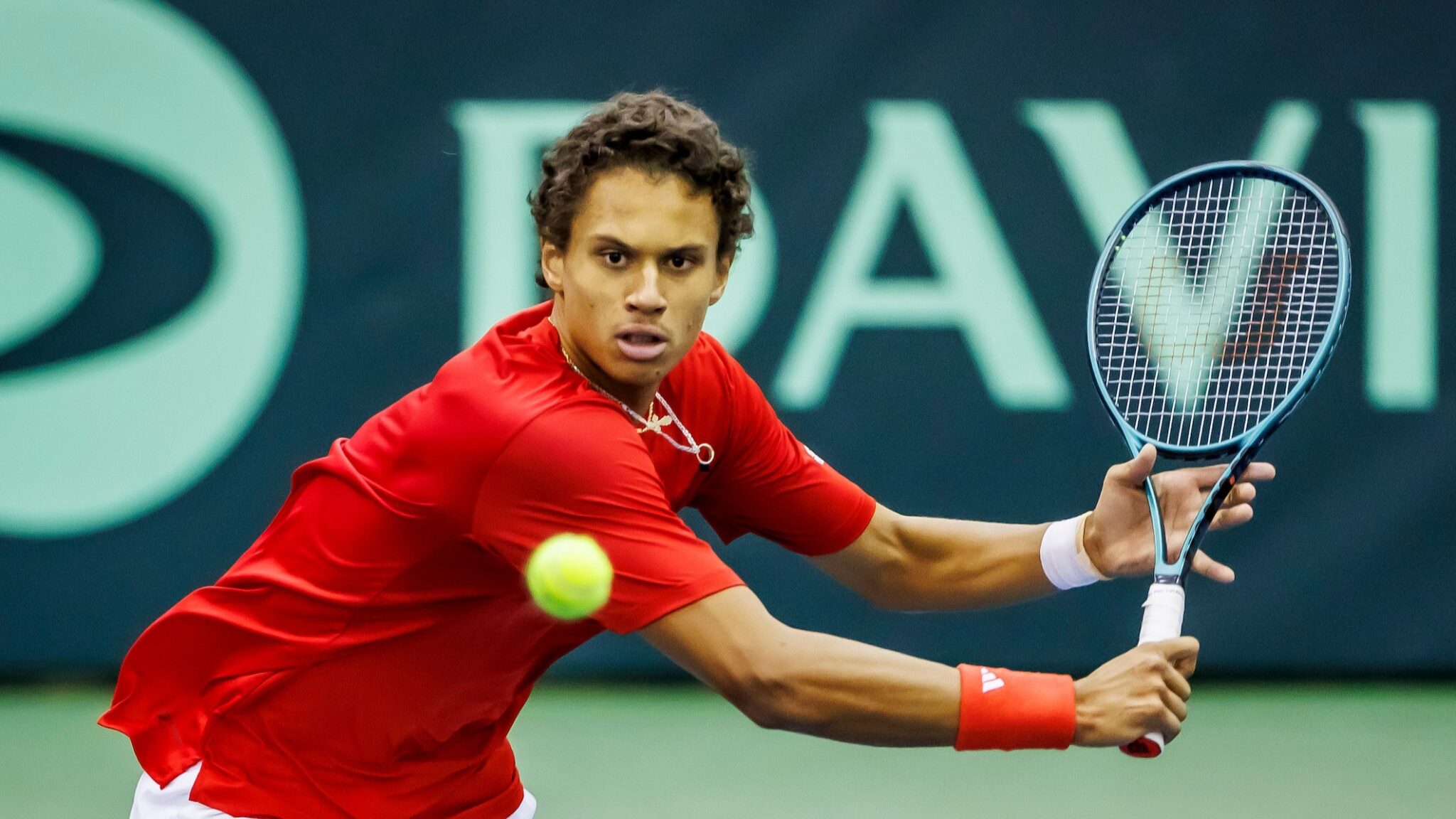 Hungary Leads Canada After Two Singles Wins at Davis Cup Tennis Canada